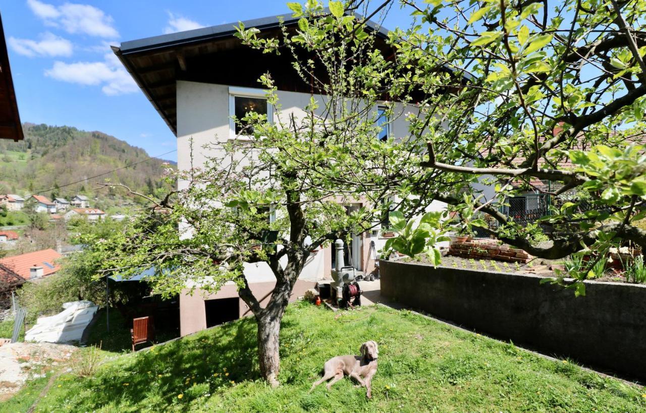 Bergmannhaus Villa Zagorje ob Savi Eksteriør billede